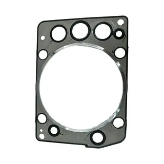 Cylinder Head Gasket 4600160420 for Detroit Engine MBE4000