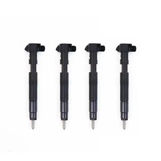 Delphi Fuel Injector 28230891 A6510701387 for Mercedes-Benz Engine OM 651.901