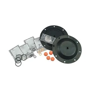 Diaphragm Pump Repair Kit 637309-GG for Pump PD20A-ASP-GGG-B PD20A-BCP-GGG-B
