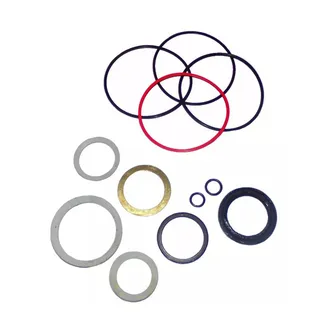Drive Motor Seal Kit 6648973 for Bobcat Loader 440 443 450 453