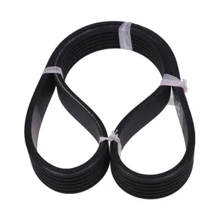 Drum Roller Belt 230718 487230718 481230718 for Wascomat TD30X30 Dryer