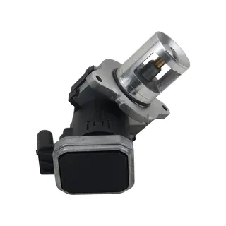 EGR Valve A6461401760 for Mercedes-Benz Engine OM646 S204 S211 W204 W211 VF211