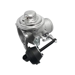 EGR Valve 038131501E for Volkswagen Beetle Jetta Golf