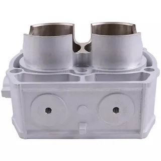 Engine Cylinder 2204393 2203911 for Polaris RZR  Ranger Sportsman