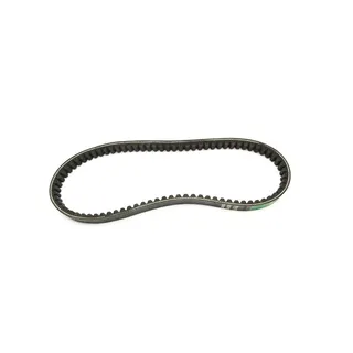 Engine Belt 78-1876 for Thermo King Transport Refrigeration Precedent S-600 S-600DE S-600M S-610M C-600