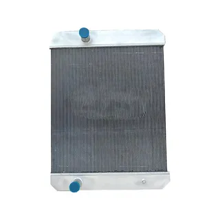 Engine Water Radiator Core ASS'Y 207-03-75121 for Komatsu PC400-7 PC450-7 PC300-8 PC350-8