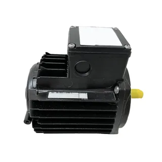 Evaporator Fan Motor 819589C for Starcool Reefer Container