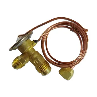 Expansion Valve 1072136M91 for Massey Ferguson Tractor 1500 1800 Combine 8560 8590