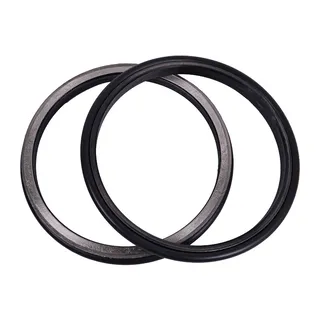 Floating Seal 4317584 for Isuzu Engine 4HK1 Hitachi Excavator EX100-5 EX100M-5 EX200-3 EX200LC-5HHE EX200SS-5