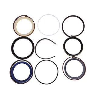 Arm Cylinder Seal Kit 4206344 for Hitachi Excavator EX100 EX100M EX120