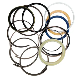 Arm Cylinder Seal Kit 4206019 for Hitachi Excavator EX200 EX200LC EX200K