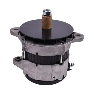 24V Alternator 600-821-9810 for Komatsu 6D105-1 6D95L-1 S6D155-4 SA6D108-1 Engine PC300LC-5 WA470-3