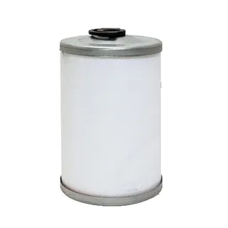 Fuel Filter P550061 Replace Donaldson