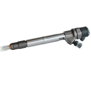 Fuel Injection 0445110317 for Bosch