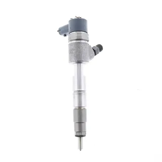 Fuel Injection 0445110521 for Bosch