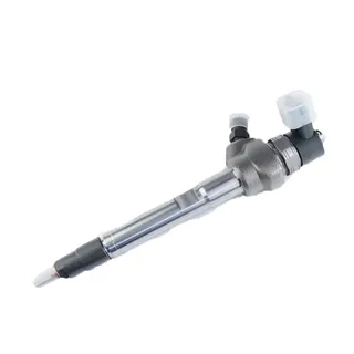 Fuel Injection 0445110611 for Bosch JMC CN3-9K546-AB