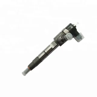 Fuel Injection 0445110691 for Bosch