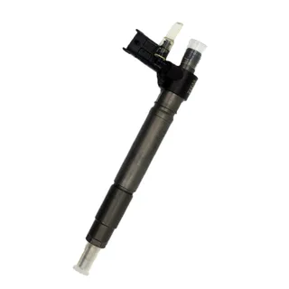 Fuel Injection 0445115091 for Bosch