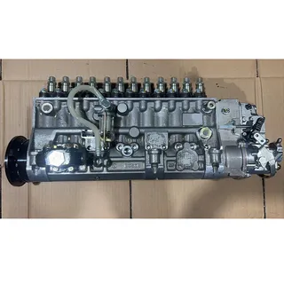 Fuel Injection Pump 0402670802 for Mercedes-Benz Engine OM444 Truck