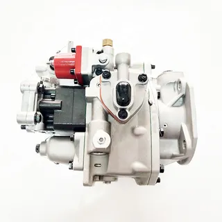 Fuel Injection Pump 3095557 for Cummins Engine N14 NT855