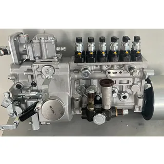 Fuel Injection Pump 9700360638 22010-EW021 for Hino Engine JO8EUF