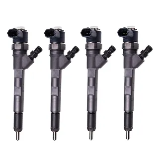 Fuel Injector 0445110059 5066820AA for Chrysler Voyager Jeep Cherokee 2001-2008 2.5 2.8 C