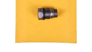 Fuel Pressure Relief Valve 1110010025 for Bosch