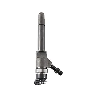 Fuel Injection 0445110250 for Ford WLC WL3