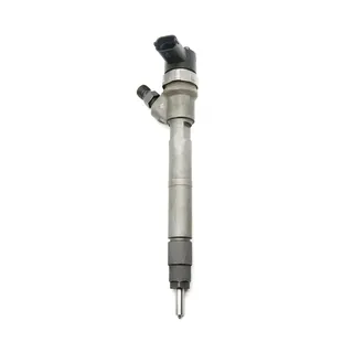 Fuel Injection 0445110317 for Bosch