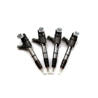 Fuel Injection 0445110521 for Bosch
