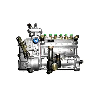 Fuel Injection Pump 02231884 for Deutz Engine BF6L913
