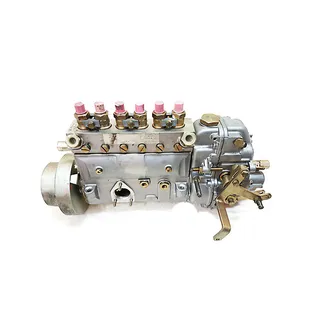 Fuel Injection Pump 101605-0300 for Isuzu Engine 6HK1 6BG1T