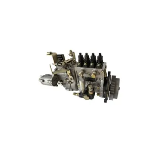 Fuel Injection Pump 4940838 for Cummins Engine 4BT 4BTA 3.9L