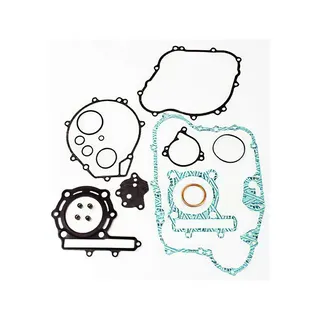 Full Gasket Kit 6668899 for Bobcat 863 864 873 883 A220 A300 S250 T200