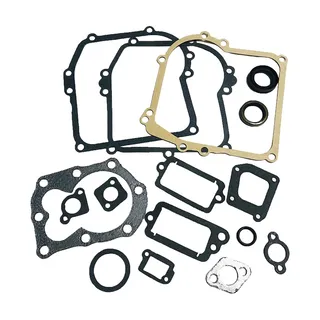 Gasket Kit 590777 for Briggs & Stratton Engine 10A902 10A982 10C902 10E902 10G902 10K902 96982 9B902