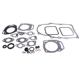 Gasket Kit 841188 for Briggs & Stratton Engine 304447 305440 305442 305447 305777