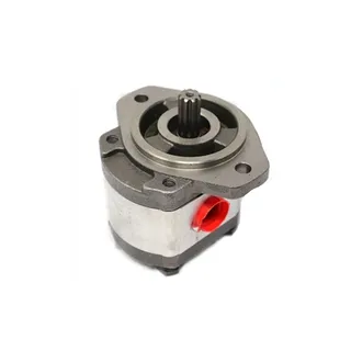 Gear Pump 202010000024 for Sinoboom Lift GTZZ14EJ AB14EJ AB460EJ