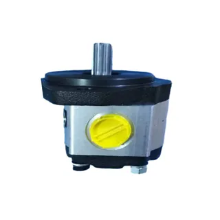 Gear Pump 202010000034 for Sinoboom Lift GTZZ15J AB15J AB480J