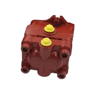 Gear Pump of Hydraulic Pump PVD-1B-31BP-8AG5-4865B for Yanmar VIO27-5 Hitachi ZX33U-5A Excavator