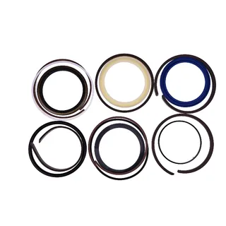 Bucket Cylinder Seal Kit 4206345 for Hitachi Excavator EX100 EX100M EX100W EX100WD EX120