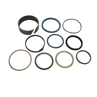 Hydraulic Cylinder Seal Kit 250-2485 for Caterpillar CAT Engine 3116 Excavator 320B 322BL