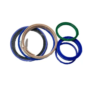Hydraulic Cylinder Seal Kit 501-6695 for Caterpillar CAT Engine C4.4 Loader 930K 444F 432E 432F 434E