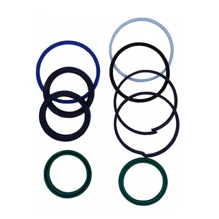 Hydraulic Cylinder Seal Kit T218502 for John Deere Engine 4045HT072 4045HT073 4045HT082 Loader 210K 210L 310L 325K