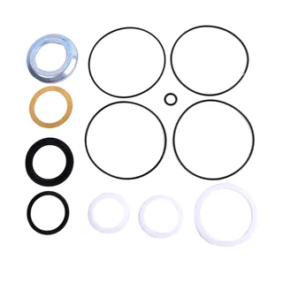 Hydraulic Motor Seal Kit 61289-000 for Eaton Char-Lynn 2000 Series