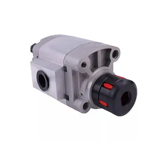 Hydraulic Pump 2505004970 for Haulotte Scissor Lift Optimum 8 Compact 8 10 12