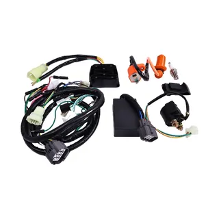 Ignition Coil CDI Wire Harness Regulator Relay 30410-HM5-A11 31600-HC5-970 for Honda  FourTrax 300