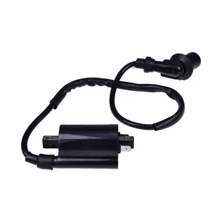 Ignition Coil Spark Plug Boot and Wire 0455029 for Polaris RZR 170 Outlaw 110 Sportsman 110