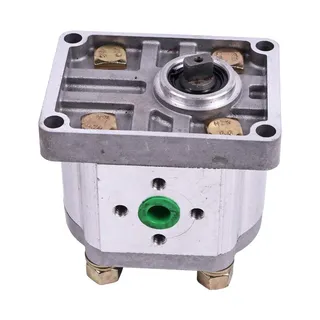 RH Hydraulic Gear Pump Oil Pump CBN-E310 for Agricultural Machinery Keyed Shaft