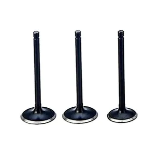 1Set Intake Valve 119620-11100 for Yanmar Engine 3TN66E-G2 3TN66E-S 3TN66E-YL 3TN66L-UHW 3TNA68L-UFWA 3TNA68L-UHW  Komtsu 3D72-2B 3D72-2BA 3D72-2C 3D72-2E