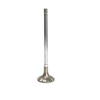 Intake Valve 2881815 for Cummins Engine QSK19 QSK19G QSK60G